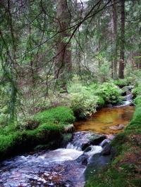 Waldnaabtal Waldnaabtal