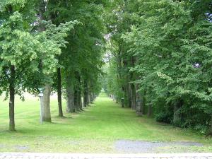 Steinbergallee Steinbergallee